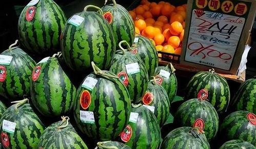 51吃瓜网官网fun,fun版官网带你畅游娱乐资讯海洋