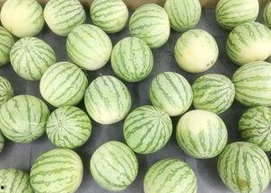 九一吃瓜今日吃瓜网,今日热点事件大盘点