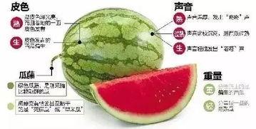 阳江网红吃瓜群微信,揭秘网络红人的幕后故事