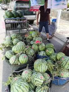 宜春网红吃瓜事件视频,揭秘网络热议背后的真相