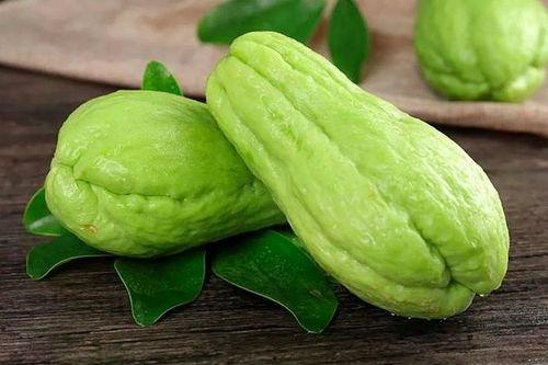 网红吃佛手瓜是真的吗