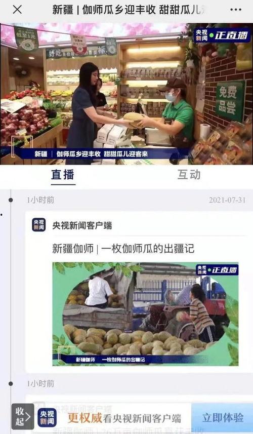 吃瓜网今日新闻直播回放,今日热点事件深度解析