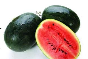 所有吃瓜网红名字大全集,揭秘网红名字背后的趣味与魅力