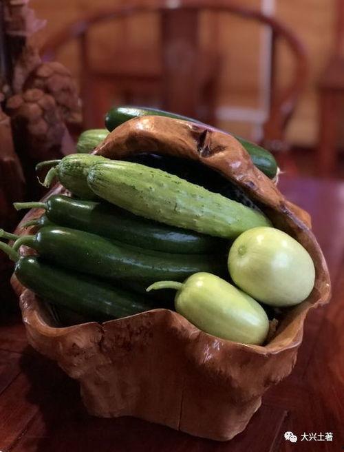 善堂网红吃瓜视频下载