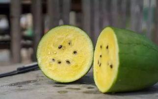 吃瓜网全网黑瓜,吃瓜网揭秘娱乐圈黑瓜大揭秘