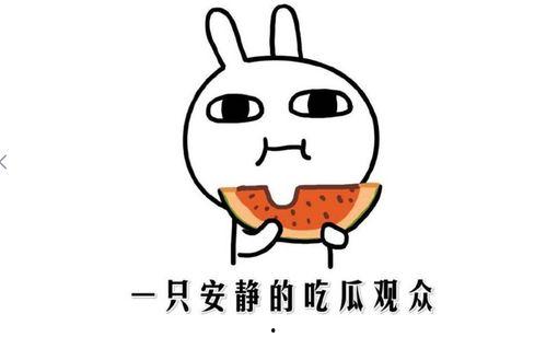 吃瓜网站抖音网红是谁呀,揭秘“吃瓜网站”热门人物之谜